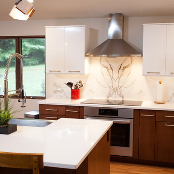 Contemporary Renovation