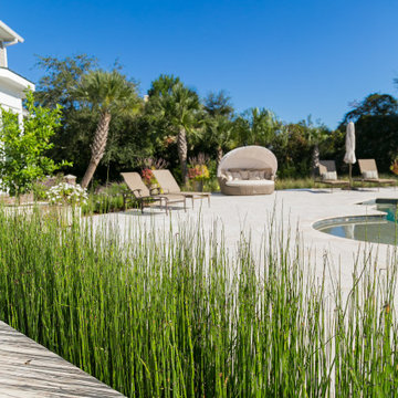 Wild Dunes Contemporary Garden Renovation