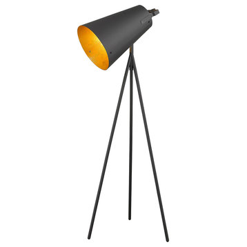 Trend Lighting Faza 1-Light Floor Lamp With Matte Black Finish TF70036BK