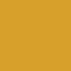 Glitzy Gold - Paint