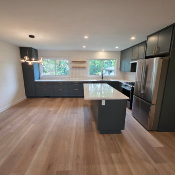 Full House Renovation