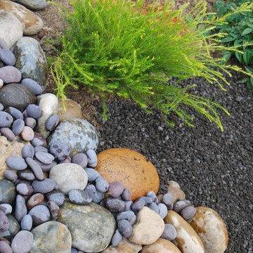 Low Water Beds & Rock Styles