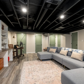 Basement Playroom in Springfield, PA