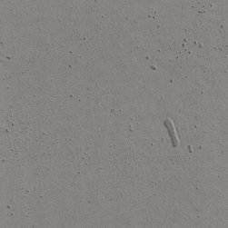 Concrete Flooring - Dogtown - Flooring