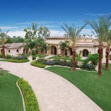 mediteranean forest hills
