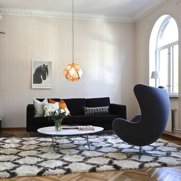 Shaggy Carpets and Rugs