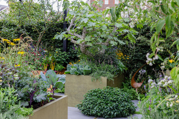 庭 Small Garden Ideas to Steal from the RHS Chelsea Flower Show 2021