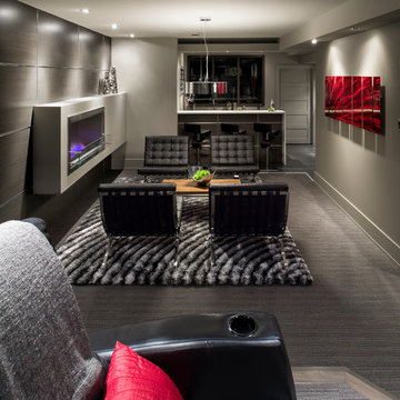 Basement Brewery / Bar / Home Theater