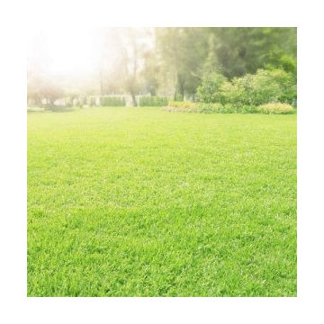 Carolina Turf and Mosquito, LLC