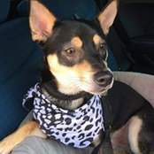 Foto von Cindy Lee