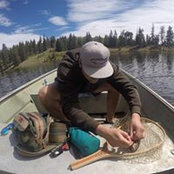 Robert Kross's photo
