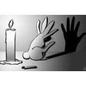 Laurie Doren Butler's photo