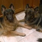 Paula Gardner's photo