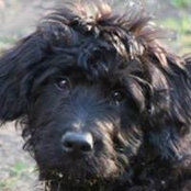 Gail FitzPatrick's photo