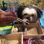 亜紀's photo