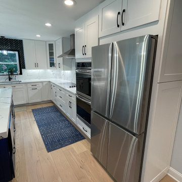 Full House Remodel in Vienna, VA