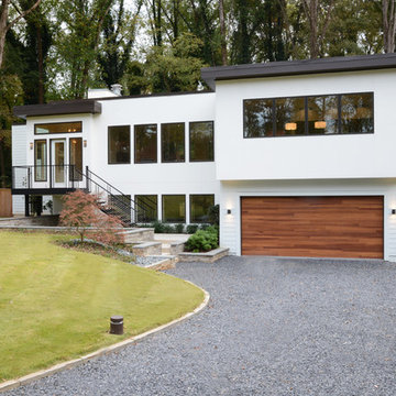 Tree Line Modern