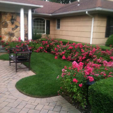 Flower/Planting Beds