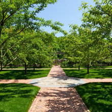orchard