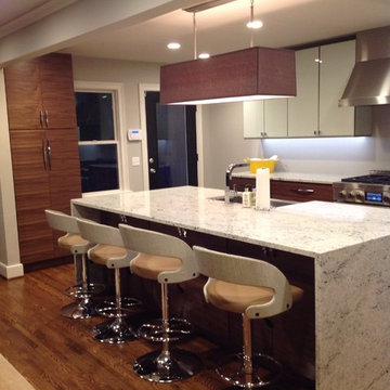Mid century Modern Kitchen