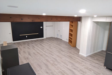 Basement Remodel