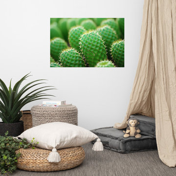 Farmhouse Accent Wall Decor: A Collection of Cacti Photorealism