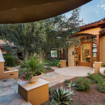 Saguaro Forest Contemporary