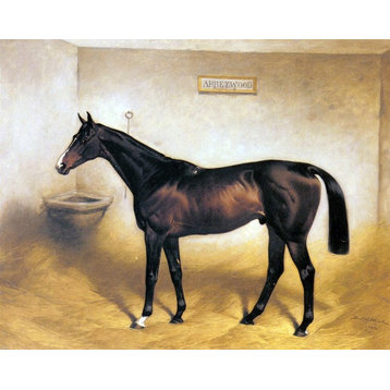 Basil Nightingale The Racehorse Abbeywood In A Stable Wall Decal