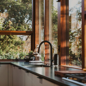 Healdsburg Hills Midcentury Modern