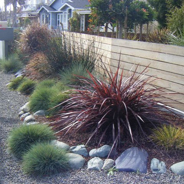 Xeriscaping and Misc.