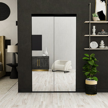Trim Line - Closet Door in Bronze