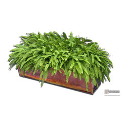 Custom burnished rustic copper flower boxes - Outdoor Pots And Planters