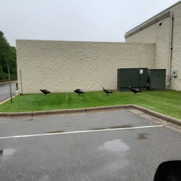 Commercial Landscape Services