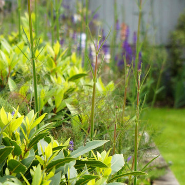 Weybridge - Surrey - Family Garden