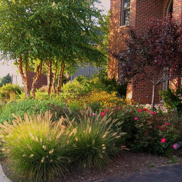 Hampshire Front Yard Planting
