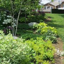 Gardening & Landscaping