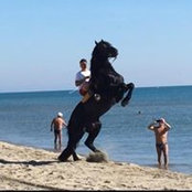 Antonio Rotunno's photo