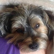 Christine Kane Brewer's photo