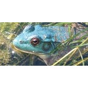 Julie Gannon's photo