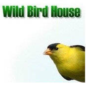 Wild Bird House's photo
