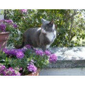 Peggy Boyleston's photo