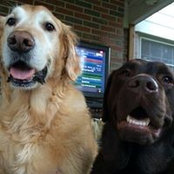 Shannon Drury's photo