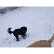 Rocky King's photo