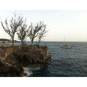 Cassandra Knight's photo