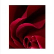 Hadeer Asser's photo