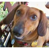 Kathleen Smart's photo