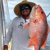 Patrick Young's photo