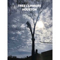 Tree Climbers Tree Service Houston's profile photo