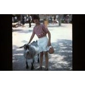 Diane Aerts's photo