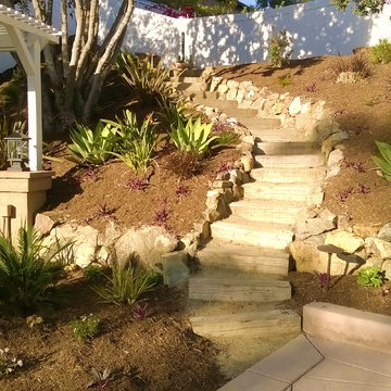 Carlsbad Bocce Ball and Kurapia Lawn